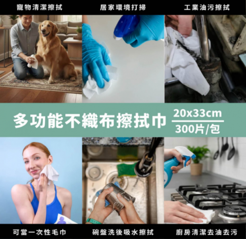 水針不織布擦拭紙 300片裝